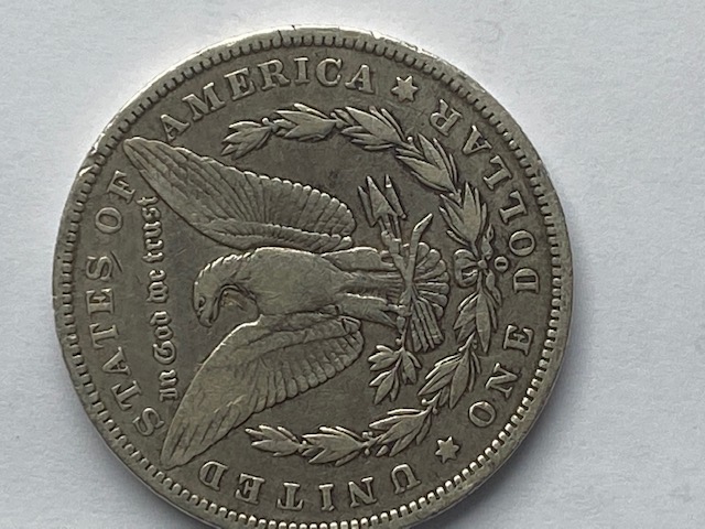 One-More-Morgan-Dollar,-Did-I-Mess-Up-Again?